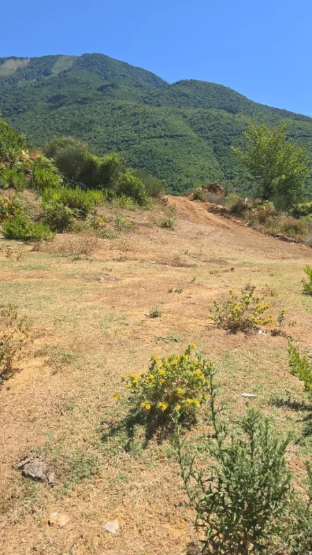Tirane, shitet toke , 1.000 m² 161.000 € (Priske e Madhe, Dajt)