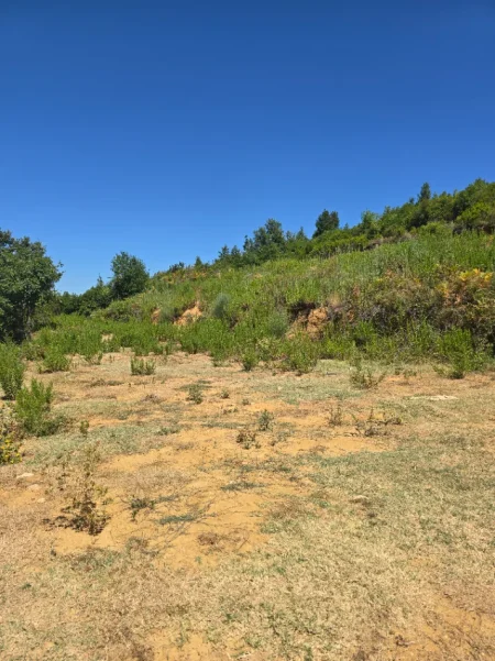 Tirane, shitet toke , 1.000 m² 161.000 € (Priske e Madhe, Dajt)