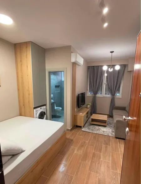 Tirane, jepet me qera garsonier 1+1+Aneks Kati 0, 450 € 