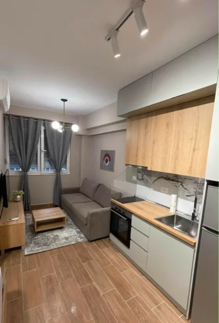 Tirane, jepet me qera garsonier 1+1+Aneks Kati 0, 450 € 
