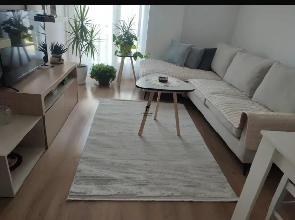 Tirane, jepet me qera apartament 2+1 Kati 1, 106 m² 650 € (RRUGA E DIBRES)