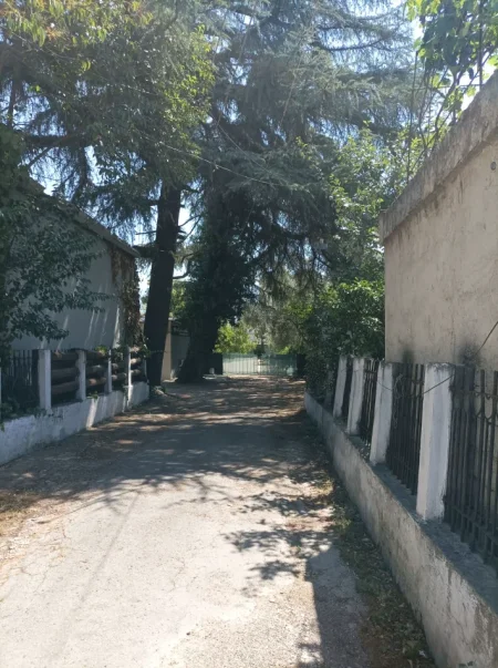 Tirane, jepet me qera ambjent biznesi Kati 0, 30000 lek,