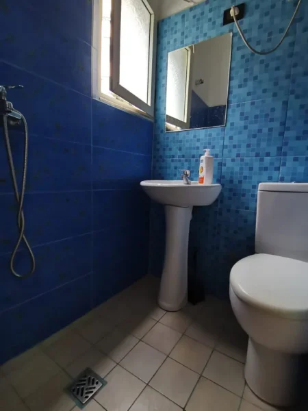 Tirane, jepet me qera apartament Studio Kati 2, 30 m² 380 € (Rruga 5 Maji)