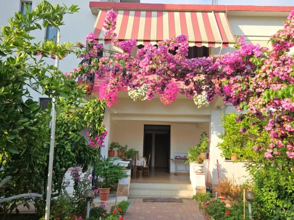 Durres, shitet Vile Vile 2 Katshe Kati 2, 660 m² 485.000 € (plazhi durres)