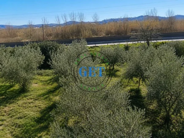 Durres, shitet toke , 2.330 m² (Manëz)