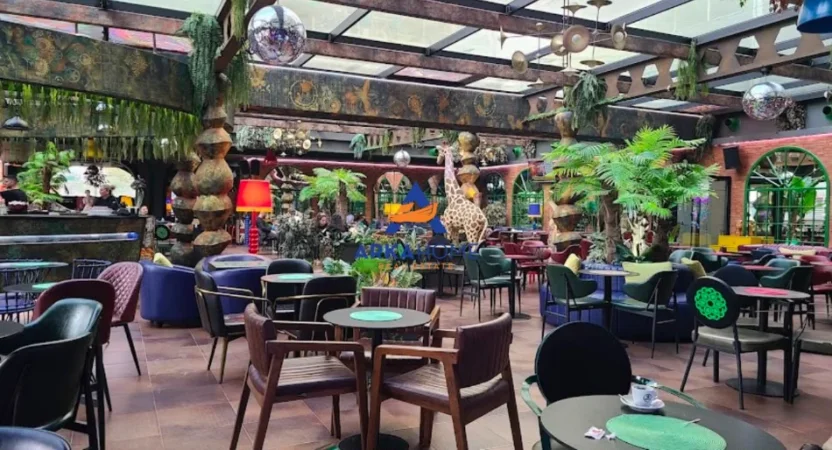 Tirane, jepet me qera lokal Kati 0, 500 m² 5.000 € 