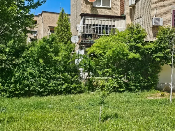 Tirane, shitet nga Pronari, pa-komision ambjent biznesi Kati 1, 76 m² 200.000 € (Tregu Elektrik)