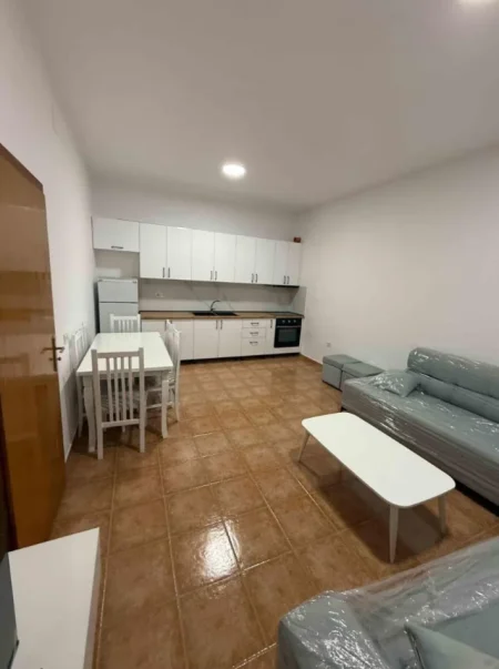 Tirane, jepet me qera apartament 1+1 Kati 1, 70 m² 500 € (Rruga Pal Hasi)