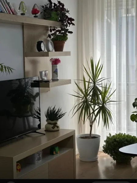 Tirane, jepet me qera apartament 2+1 Kati 1, 90 m² 650 € (Ministria e Mbrojtjes)