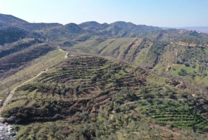 Tokë për Shitje | 11,200 m² | Mjull Bathore, Tiranë