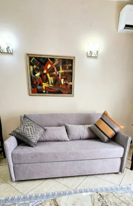 Tirane, jepet me qera apartament 1+1 Kati 4, 67 m² 600 € (RRUGA E KAVAJES)