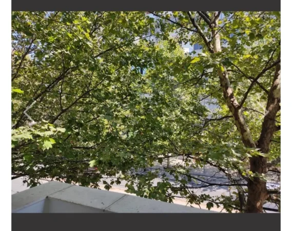 Tirane, jepet me qera apartament 2+1 Kati 2, 70 m² 600 € (Rr.Dibres; fakulteti i Mjeksise)