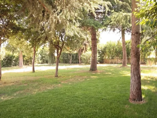Tirane, shes ambjent biznesi , 912 m² 850.000 € (Berzhite)
