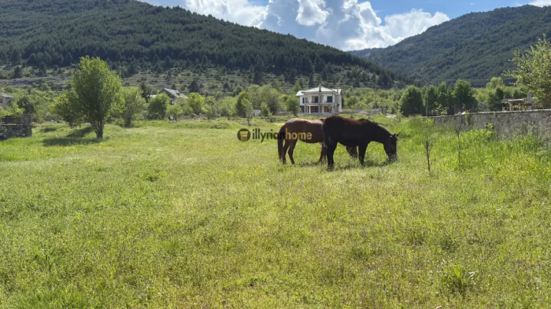 Korce, shitet toke , 1.228 m² 152.273 € (Voskopoje)