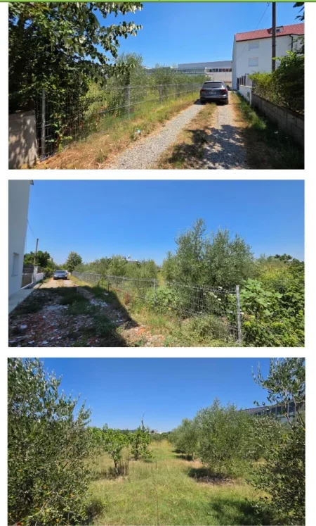 Tirane, shitet , 