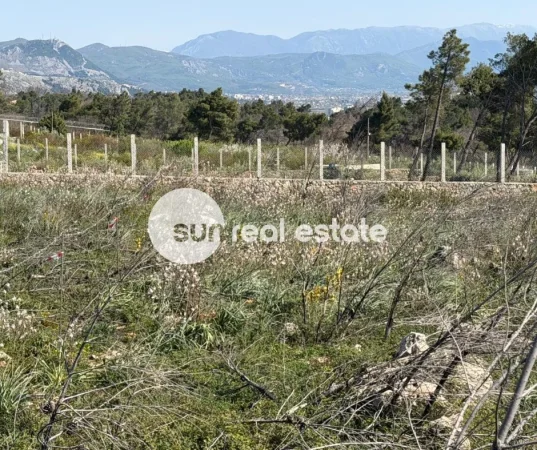 Shengjin, shitet pyll , 3.500 m² 700.000 € (RANA E HEDHUN)
