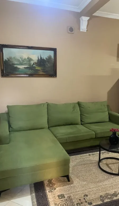Tirane, jepet me qera apartament 1+1 Kati 1, 70 m² 500 € (Rruga e Dibres)