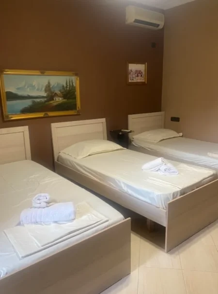 Tirane, jepet me qera apartament 1+1 Kati 1, 70 m² 500 € (Rruga e Dibres)
