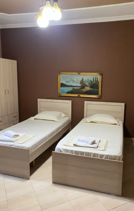 Tirane, jepet me qera apartament 1+1 Kati 1, 70 m² 500 € (Rruga e Dibres)