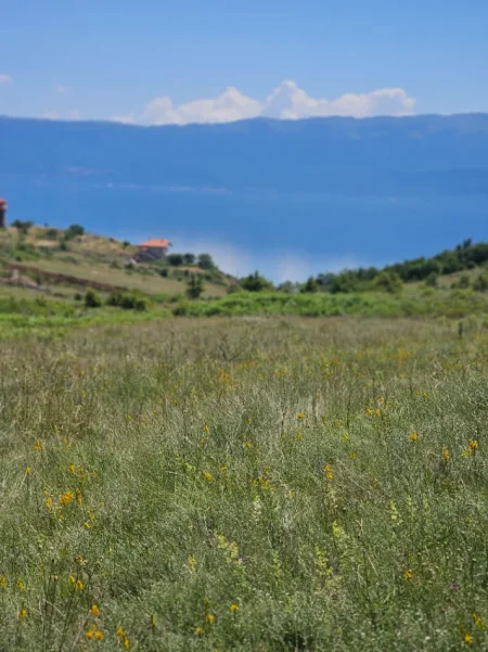 Pogradec, shitet toke , 2.000 m² 32.000 € (Piskupat / Buqez)