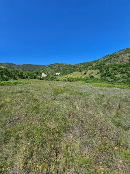 Pogradec, shitet toke , 2.000 m² 32.000 € (Piskupat / Buqez)