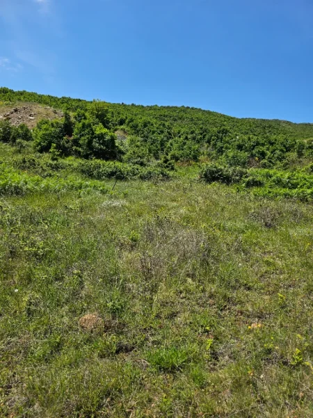 Pogradec, shitet toke , 2.000 m² 32.000 € (Piskupat / Buqez)