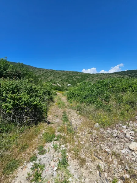 Pogradec, shitet toke , 2.000 m² 32.000 € (Piskupat / Buqez)