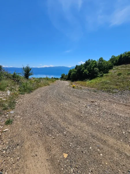 Pogradec, shitet toke , 2.000 m² 32.000 € (Piskupat / Buqez)