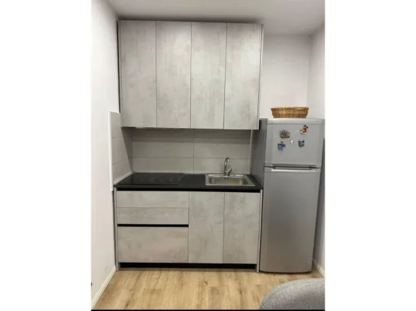 Tirane, jepet me qera apartament 1+1 Kati 9, 50 m² 700 € (ISH TREGUT ELEKTRIK)