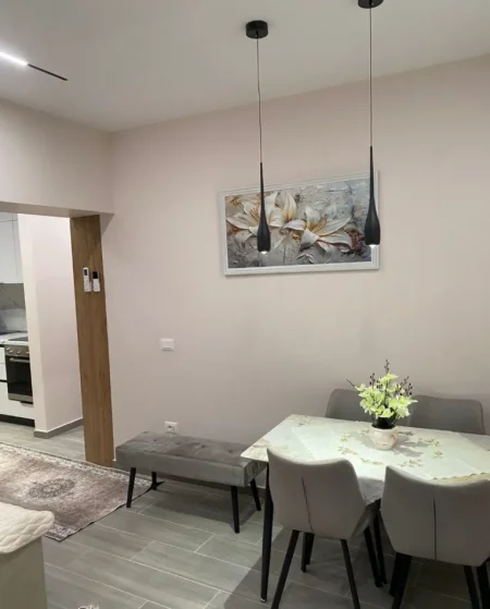 Tirane, jepet me qera apartament 1+1 Kati 1, 60 m² 650 € (Liceu Artistik)