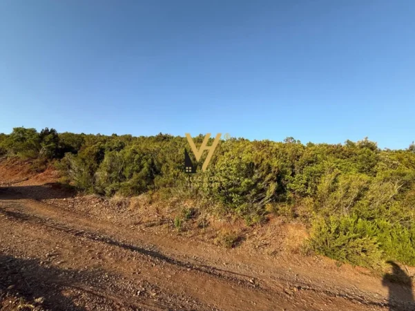 Kavaje, shitet toke , 5.400 m² 400.000 € (PLAZHI I GJENERALIT)
