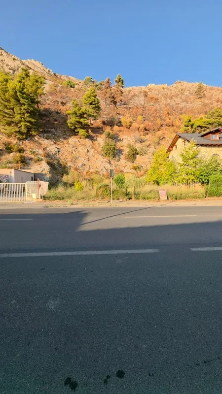 Shengjin shitet tokë për biznes