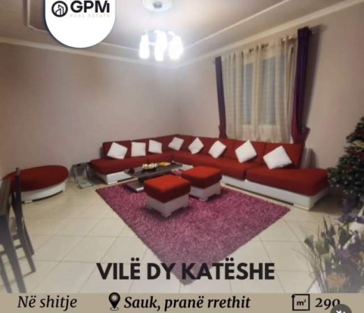 Tirane, shitet Vile 2 Katshe 290 m² 290.000 Euro ne Sauk