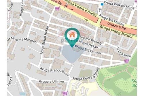 Tirane, jepet me qera 450 Euro (Bill Klinton)