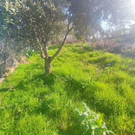 Golem, ofert shtepi Kati 1, 300 m²   (Seferaj)