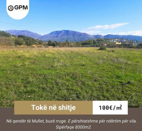 Tirane, shes toke 8.000 m² 100 Euro/m2 ne Mullet