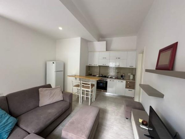 Tirane, jepet me qera apartament 1+1+BLK Kati 2, 70 m² 450 Euro (Selit)