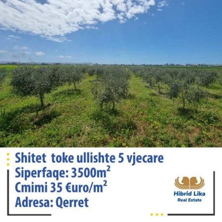 Qerret, shes 3.500 m² 122.500 Euro (Qerret)