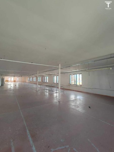 Tirane, jepet me qera magazine Kati 5, 706 m² 2.000 Euro