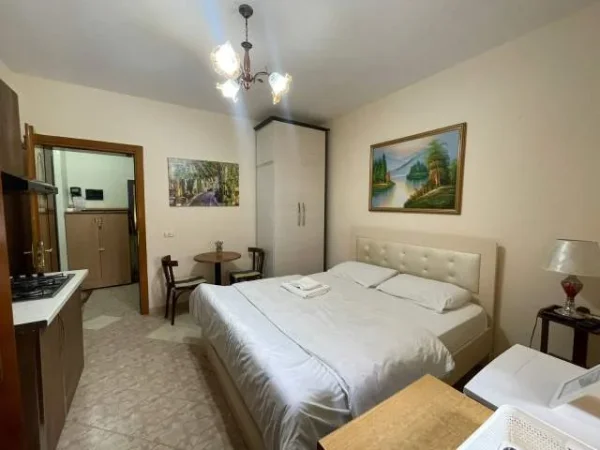 Tirane, jepet me qera apartament 1+1 Kati 2, 35 m² 350 Euro (pazari i ri)