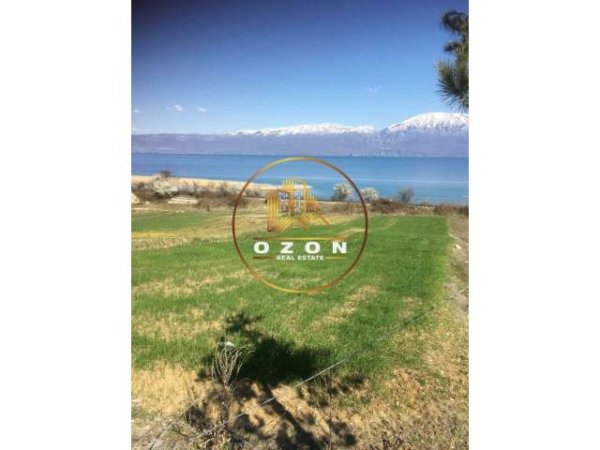 Pogradec, shitet toke 800 m² 25.000 Euro (Hudenisht)