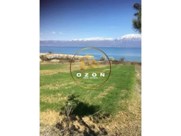 Pogradec, shitet toke 800 m² 25.000 Euro (Hudenisht)