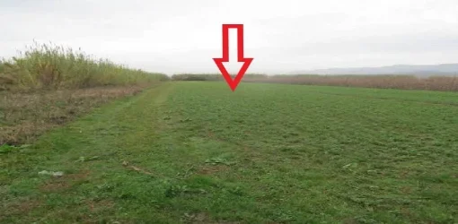 Koder-Thumane, Kruje, Shitet Toke Are me siperfaqe 6.176 m², Cmimi Fillestar 9,360,000 Leke