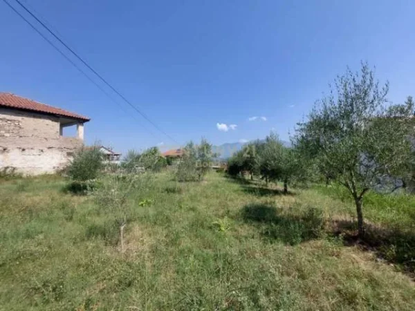 Tirane, shitet shtepi 2+1 Kati 0, 100 m² 120.000 Euro (Dobresh)