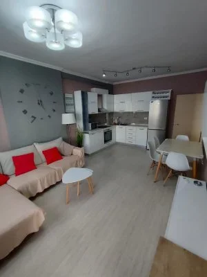 Tirane, jepet me qera apartament 1+1+BLK Kati 4, 65 m² 430 Euro (astir)