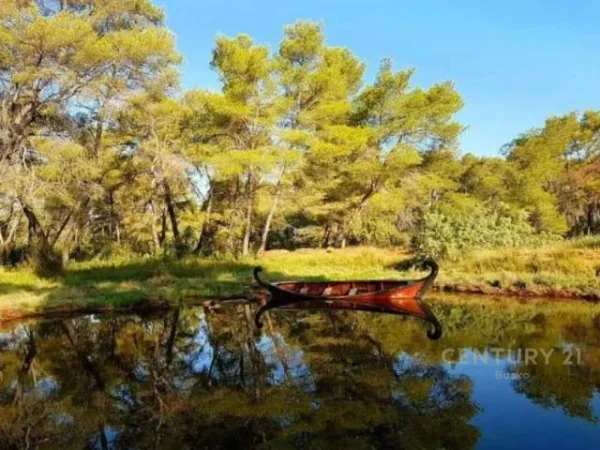 Fier, shes toke ne bregdet 2.750.000 m² 10 Euro/m2 (Karavasta)