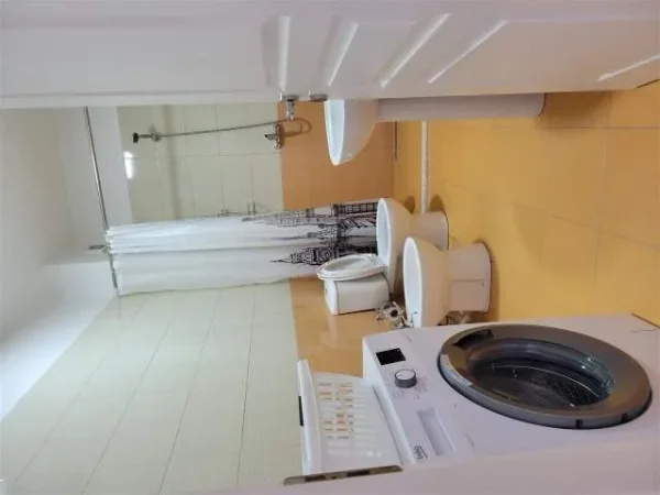 Tirane, jepet me qera apartament 1+1+A+BLK 60 m² 600 Euro (komuna e parisit)