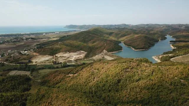 Gjiri Lalezit, shes pyll 24.500 m² 150.000 Euro (Gjiri Lalzit)