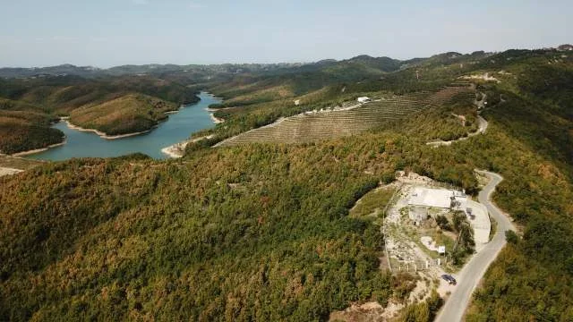 Gjiri Lalezit, shes pyll 24.500 m² 150.000 Euro (Gjiri Lalzit)