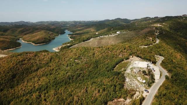 Gjiri Lalezit, shes pyll 24.500 m² 150.000 Euro (Gjiri Lalzit)